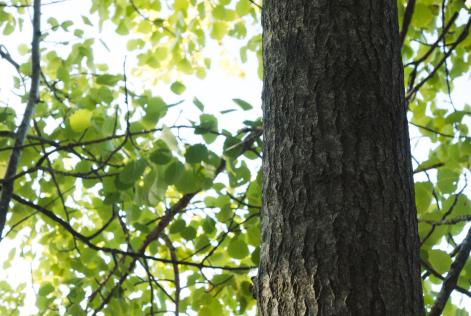 Periaatteet ja kriteerit uudistus