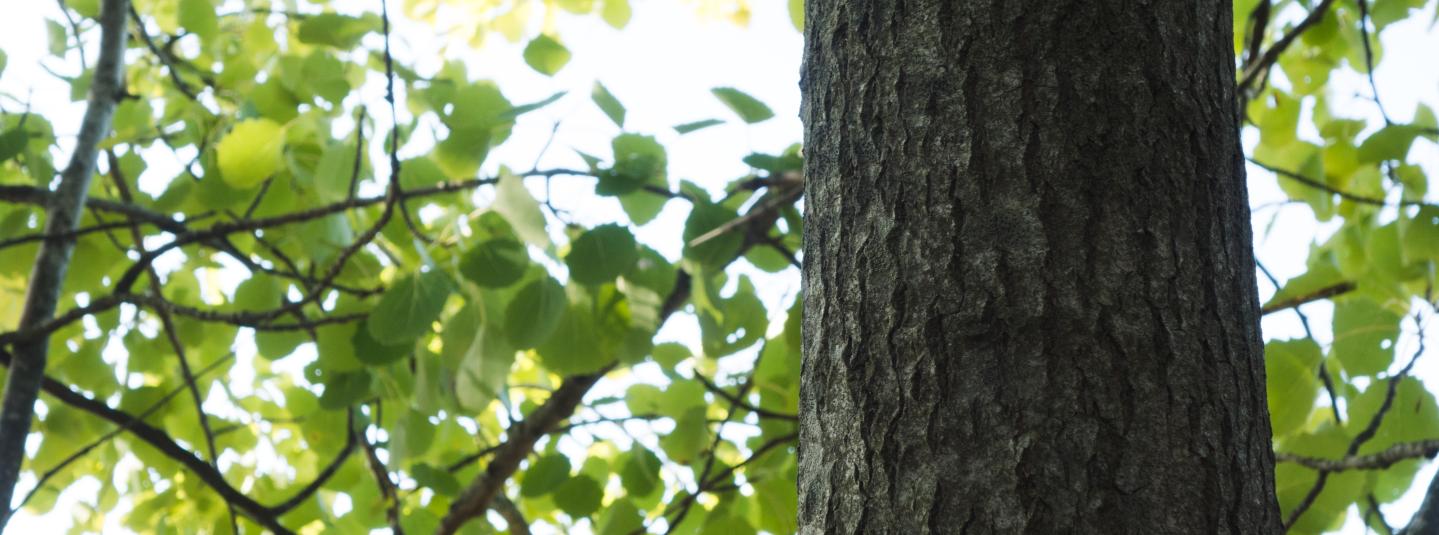 Periaatteet ja kriteerit uudistus