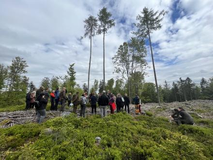 Metsäretki Tsekeissä