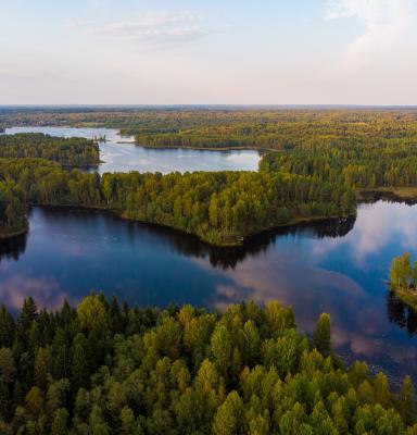 ilmakuva metsä järvi