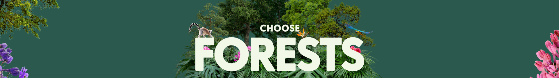 FSC Forest Week