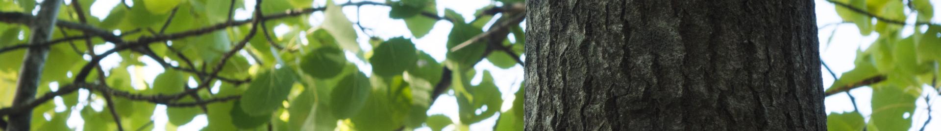 Periaatteet ja kriteerit uudistus